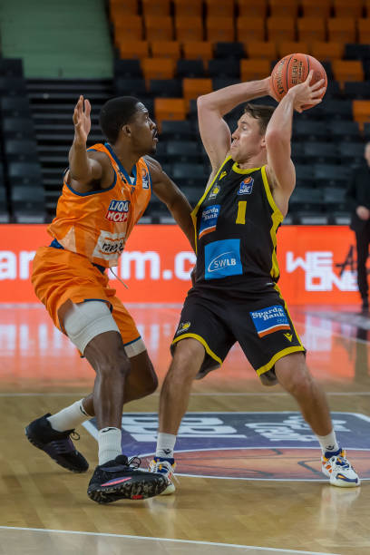 的新合同 的新合同